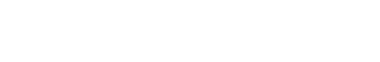 PX Logo