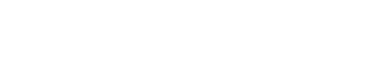 PX Logo